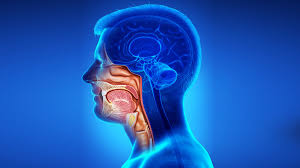 Head And Neck Oncology